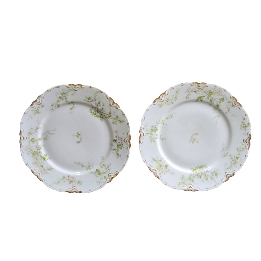 Set of 2 Haviland Limoges Salad Plates White Pink Floral Gold Scalloped France